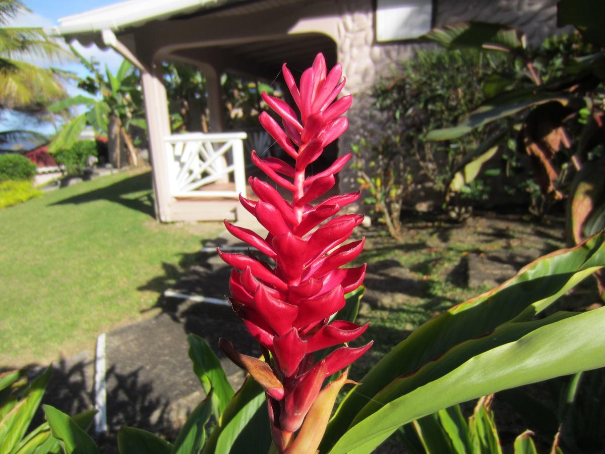 Petite Anse Hotel Mount Alexander Экстерьер фото