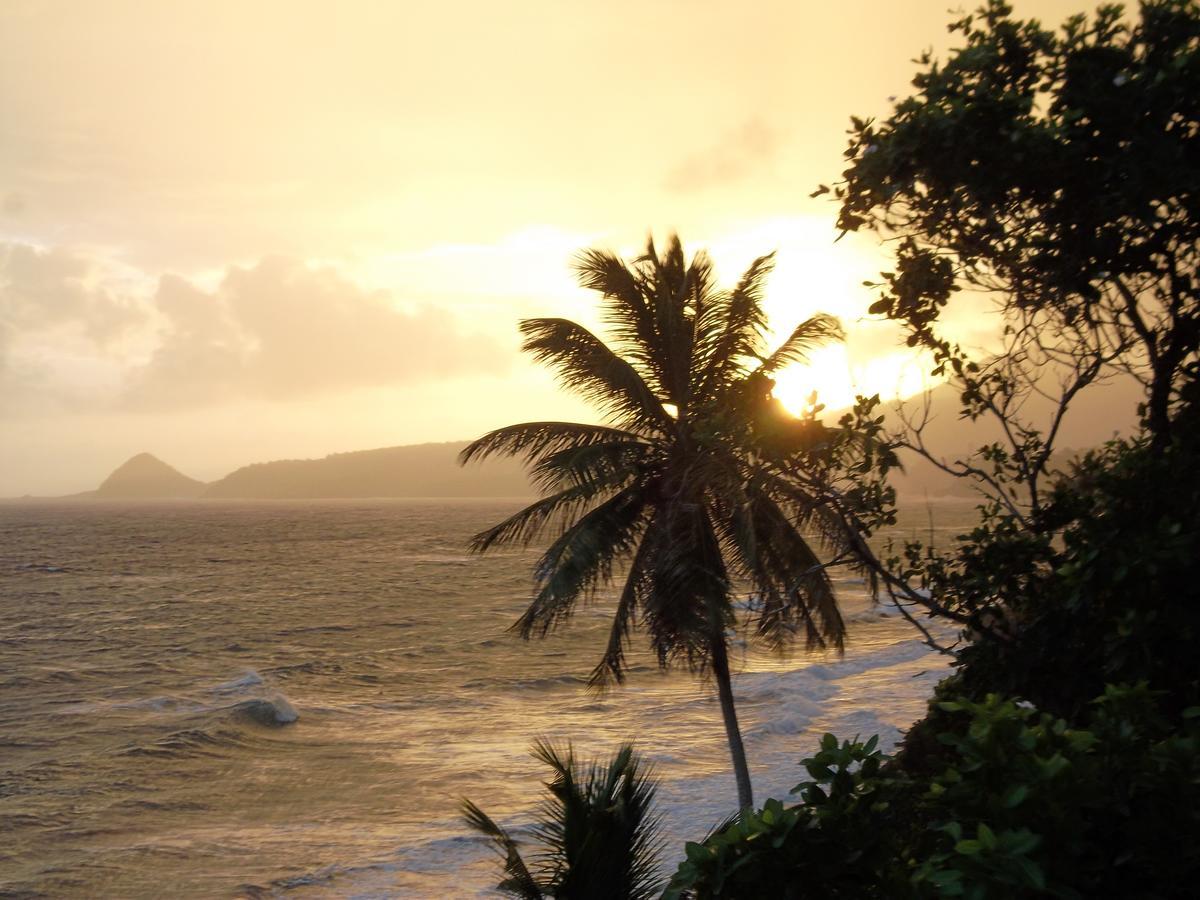 Petite Anse Hotel Mount Alexander Экстерьер фото